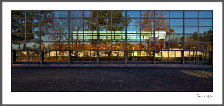 Multi layered autumn gold  | Vielschichtiges Herbstgold