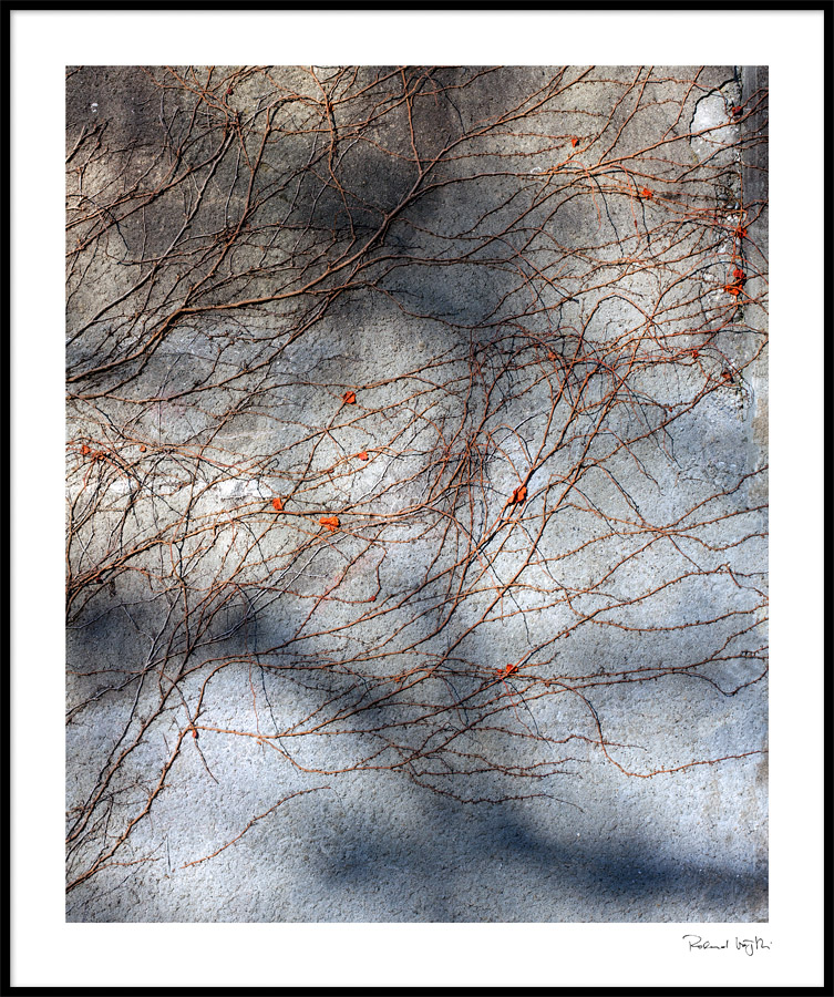 Many lines lead to …