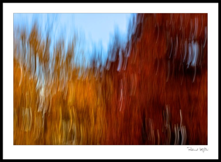 Remembering the autumn  | Erinnerungen an den Herbst