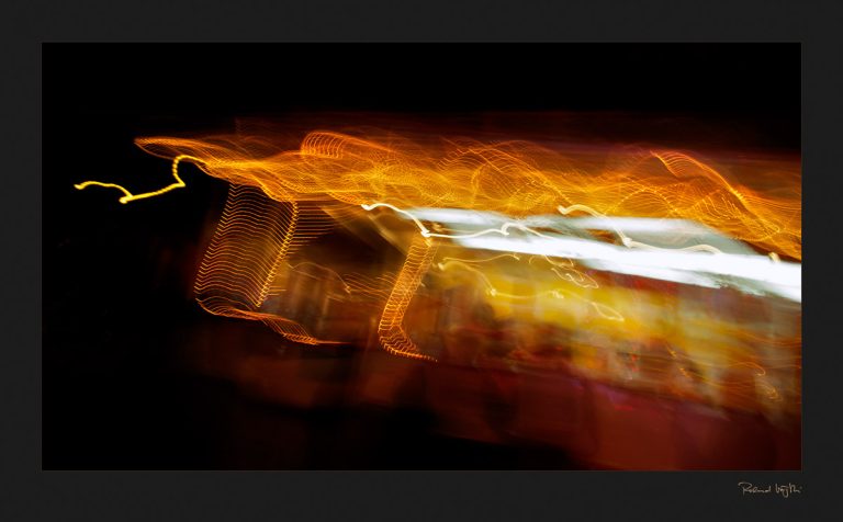 Skeleton of a nightly dance | Das Skelett eines nächtlichen Tanzes