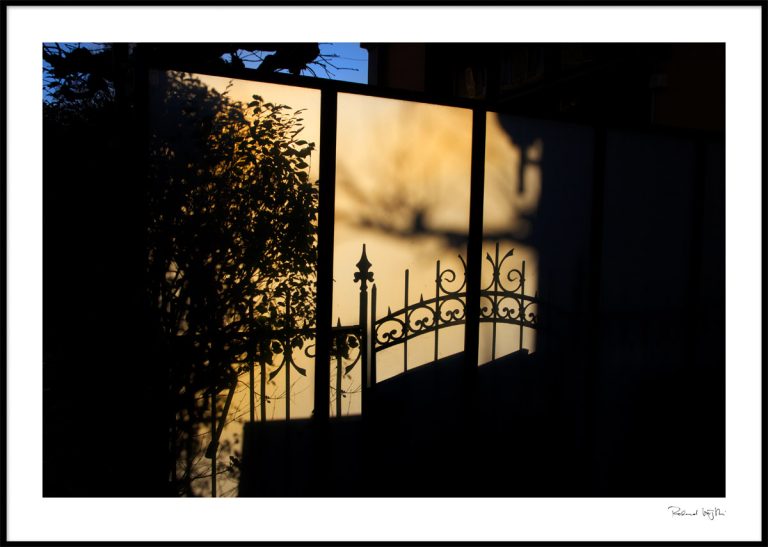 A glimpse of love of the sun