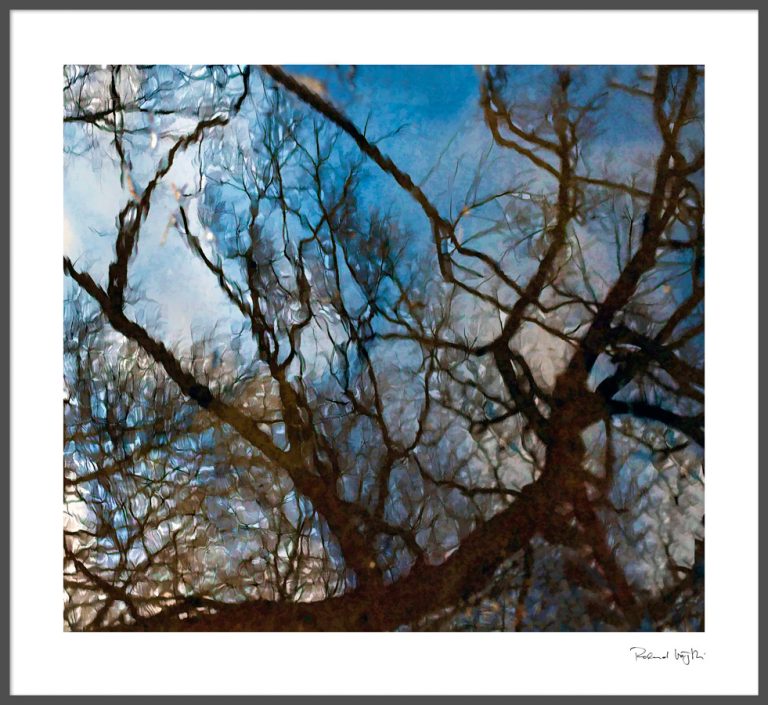 Passionate moments in a puddle