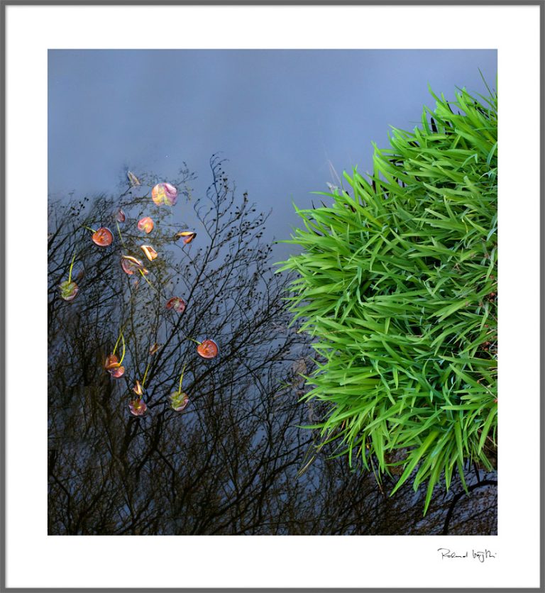 Unequal brothers  | Ungleiche Brüder