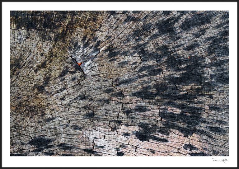 The little ego  | Das kleine Ego