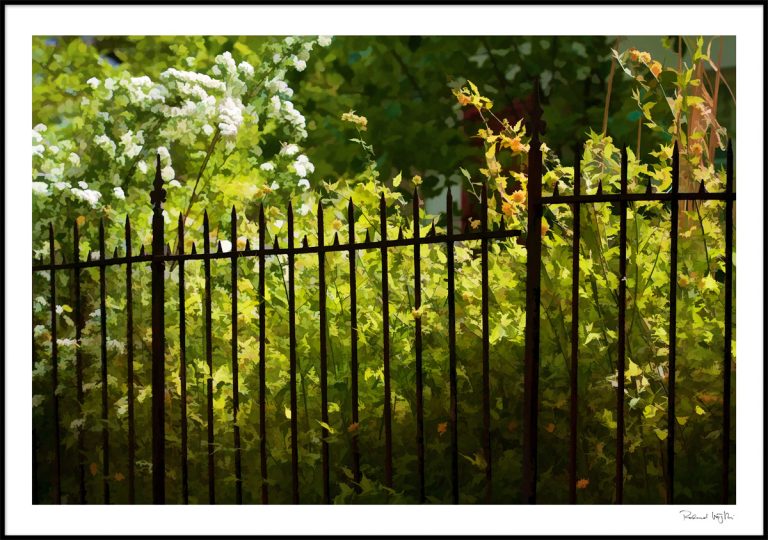 Garden Eden  |  Der Garten Eden