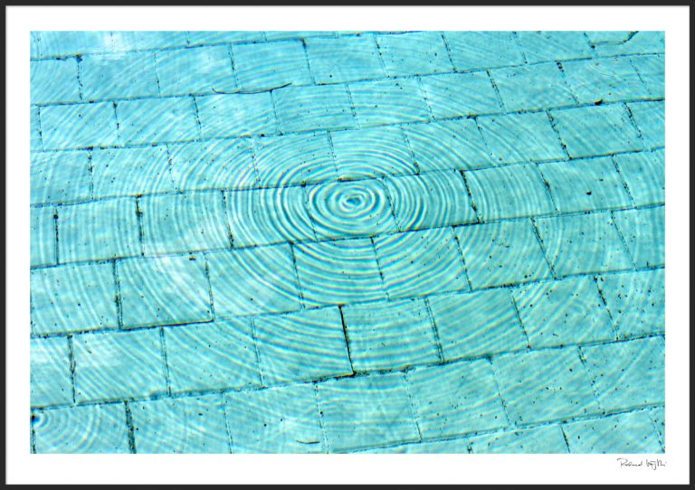 The struggle called life