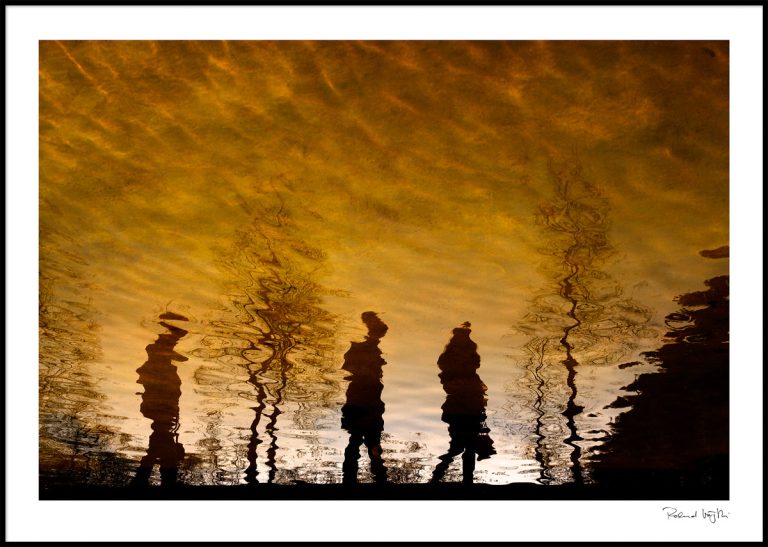 Under the african sky