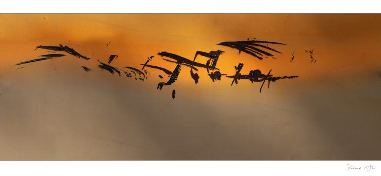 Signs on the horizon