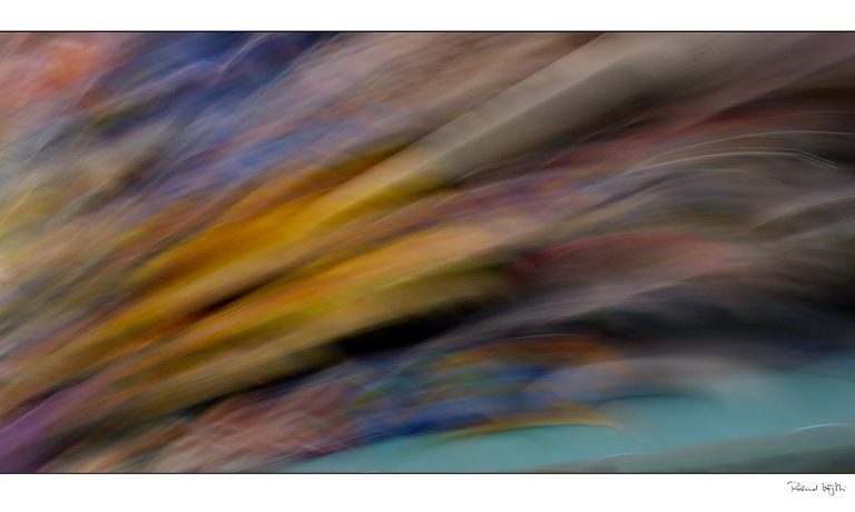 The symphony of movement