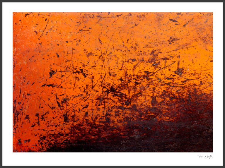 Spheres :: plankton & desert fire