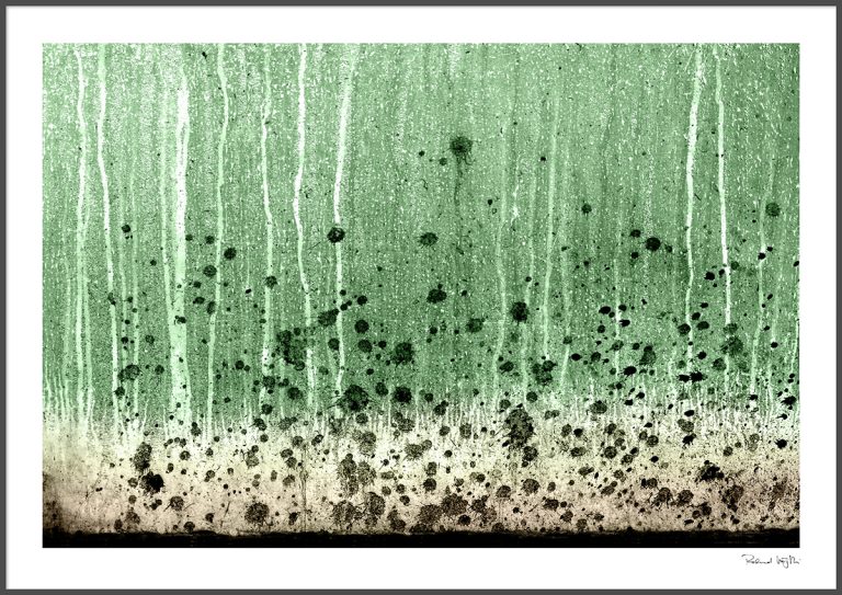 Bubbles of spring rise up