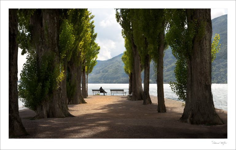 Carpe diem, quam minimum credula postero