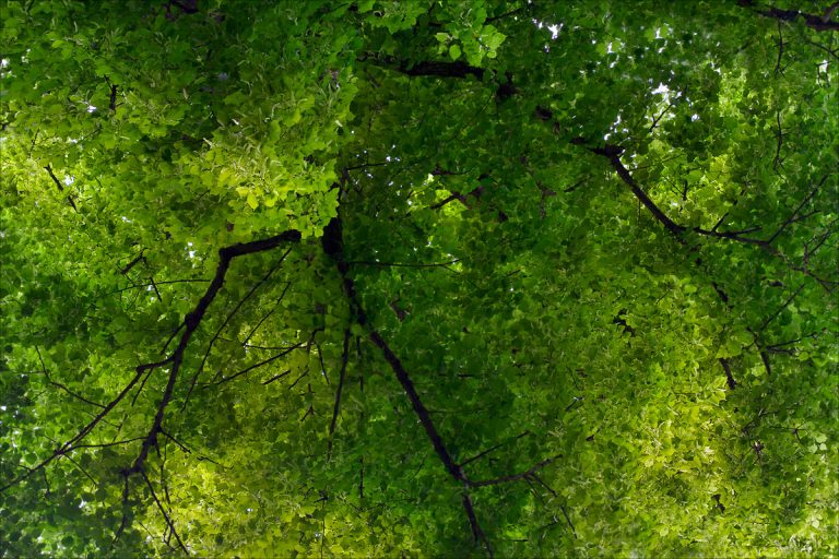 Green power