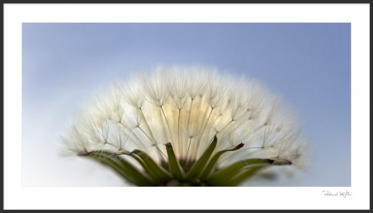 To reach for the sky