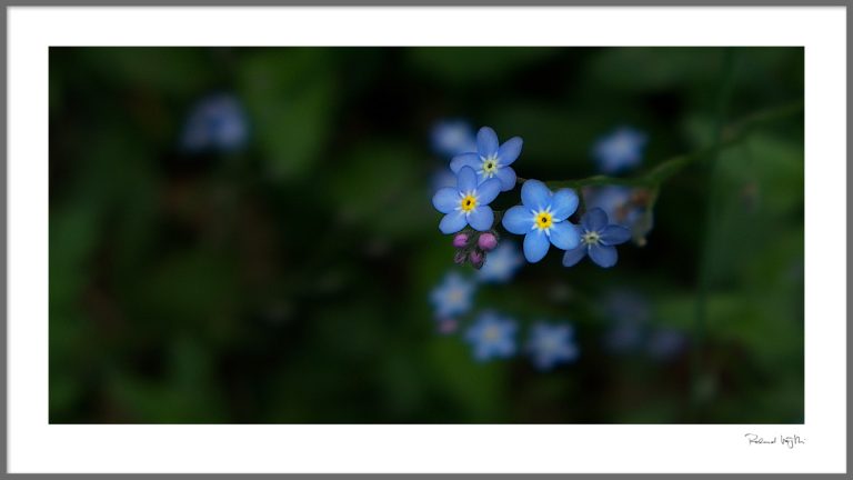 Small wonders, everywhere