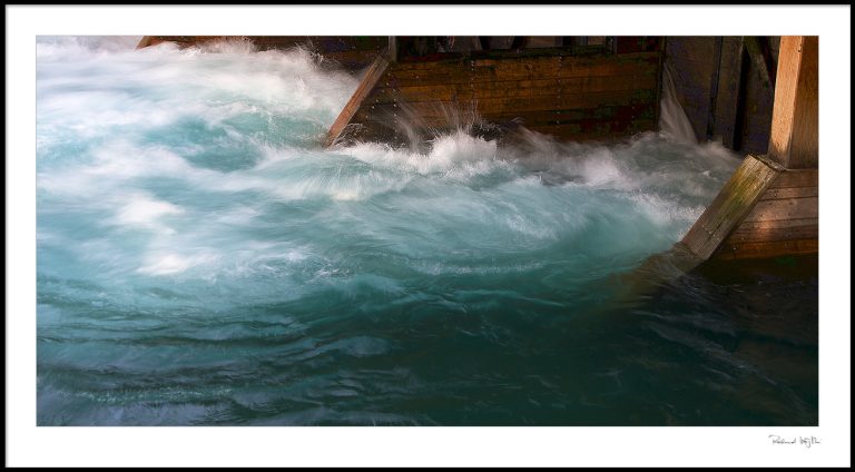 Allegro ma non troppo