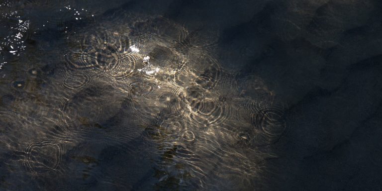 Reflection upon reflections