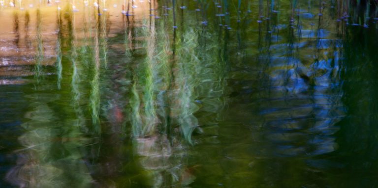 The soul of a pond /2