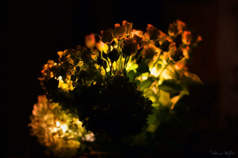 Passionate lights