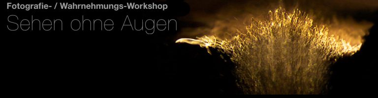 Workshop “Sehen ohne Augen”