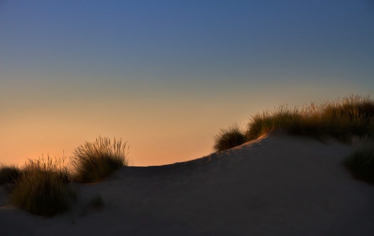 Evening sun