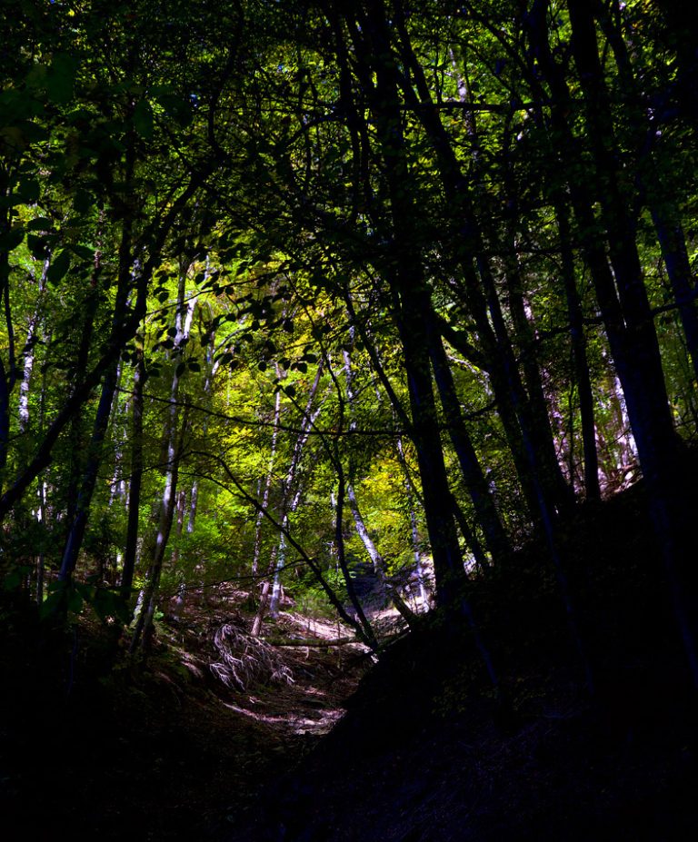 Tunnel into autumn
