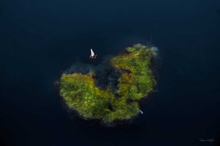 Paradise afloat