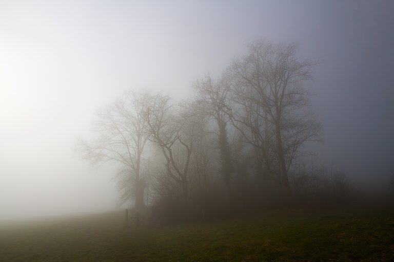 A moment in fairyland