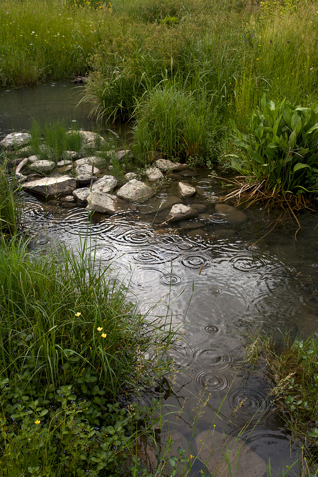 Can you hear the melody?