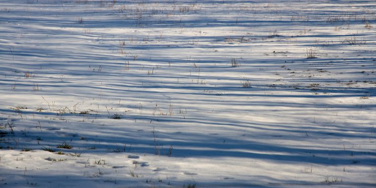 Rhythms of a departing winter