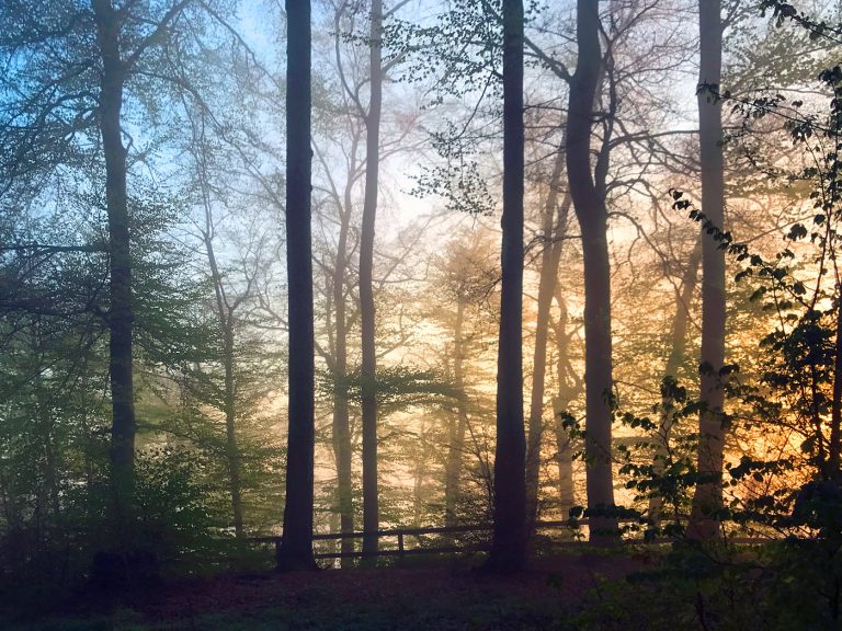 Ominotago – chapter 2 to 4