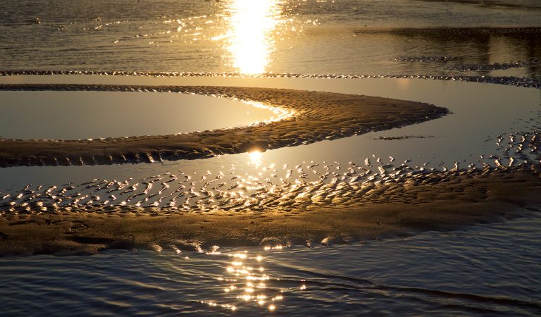 Beauty flows in circles