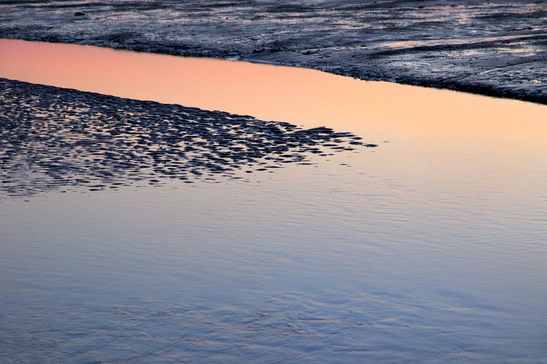 Wedding dance of light and form