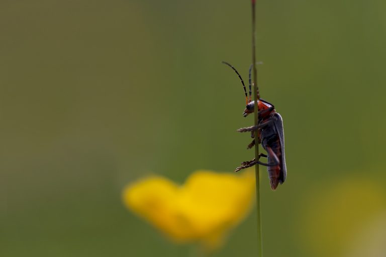 And now… where exactly is that island?