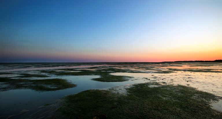 5000 ft above ground level