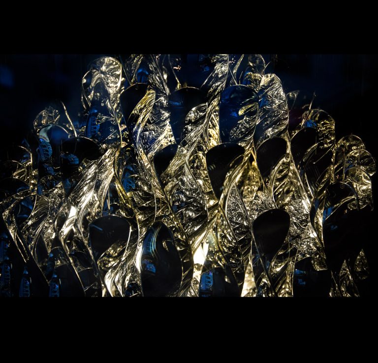 Intricate details of the love of life