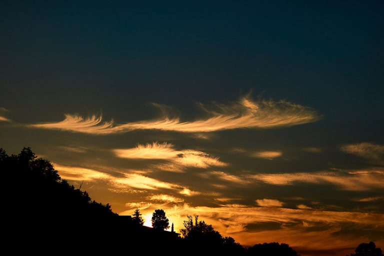 Before the night awakens