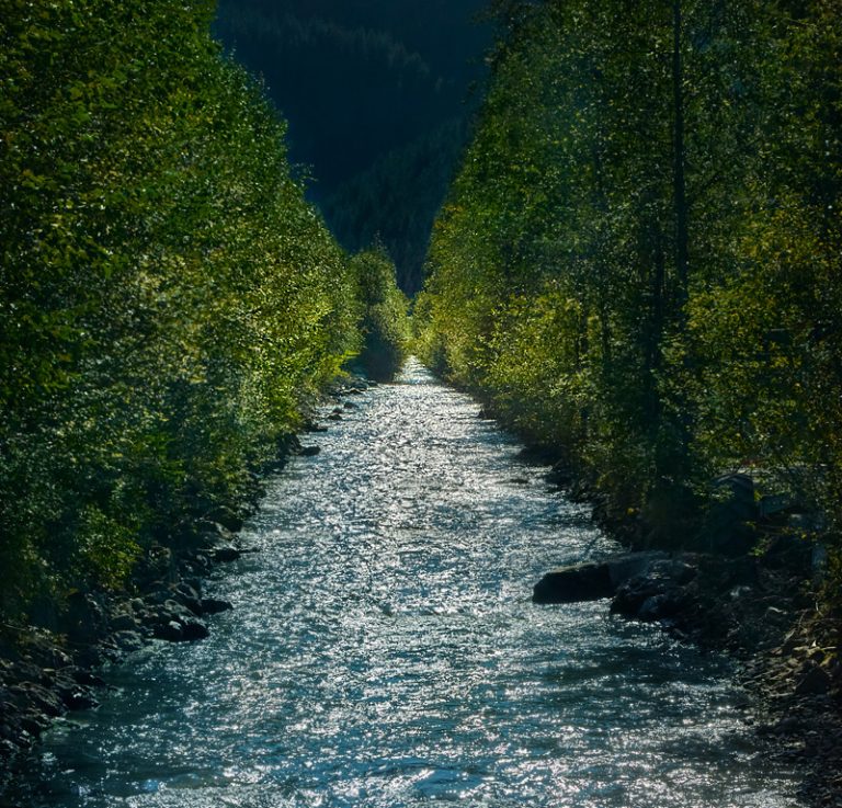 Focus on the bright spots