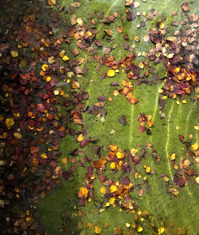 Waves of the present