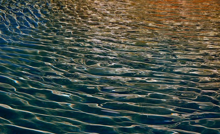 In the stream of life #1