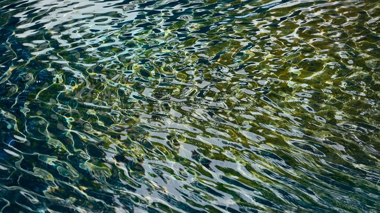 In the stream of life #3