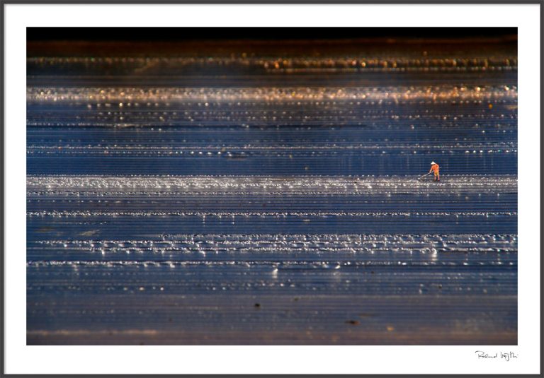 The salt miner (and other lies)