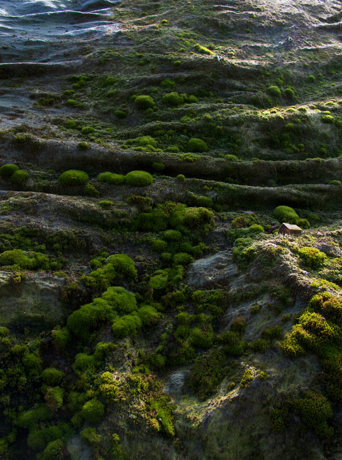 AMOS N°23 – Alpine serenity