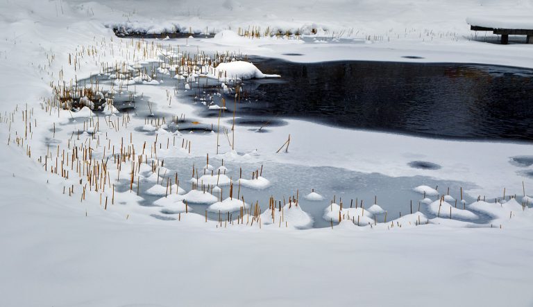 Brother cold & sister warm