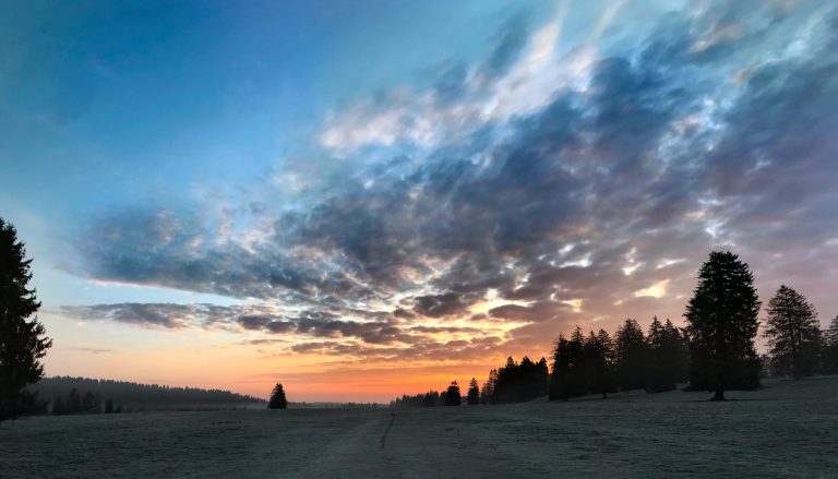 Opportunity from within