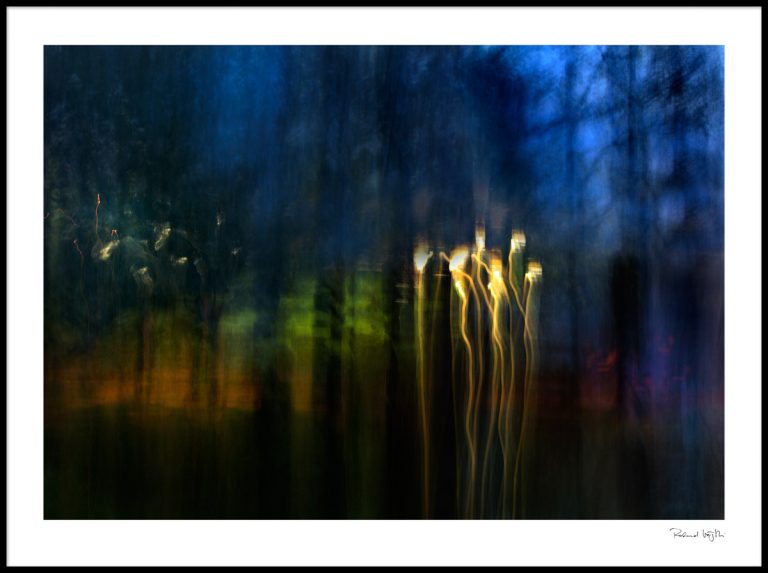 Nymphs and fireflies dance together