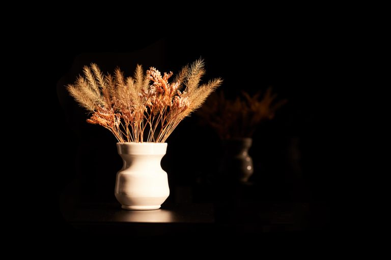 Pride and its reflection