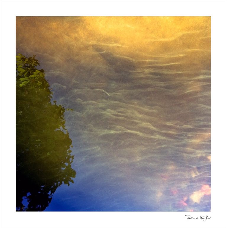 Der Duft des Abendlichtes  | The scent of the evening light