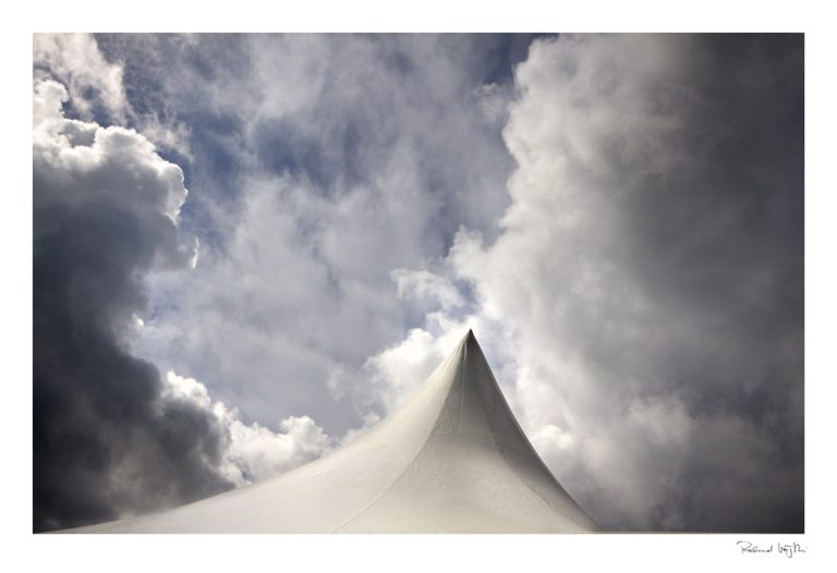 Towards the sky | Dem Himmel entgegen