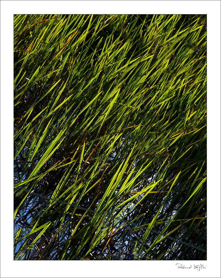 Das Flüstern der Linien | The whispering of the lines